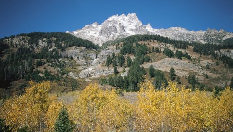 Горы, скалы, камни, деревья, осень, подъем