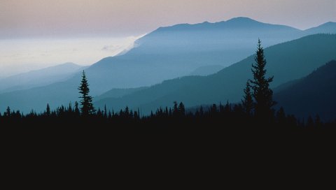 Горы, очертания, деревья, хвойные, высота, облака, туман, сумерки