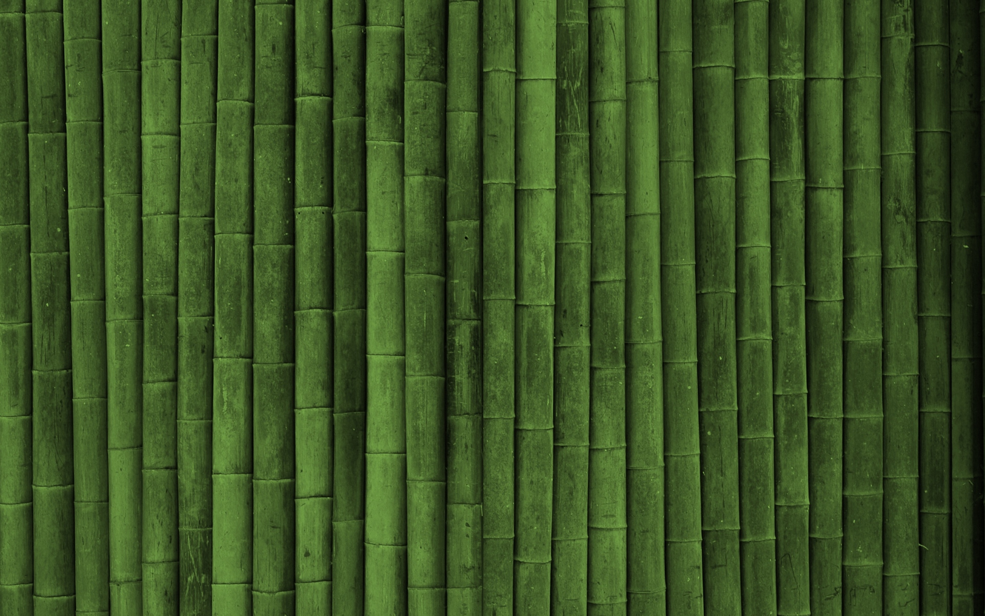 Картинки Бамбук, палка, зеленый, вертикальный фото и обои на рабочий стол