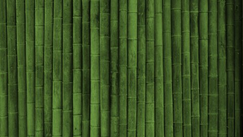 Бамбук, палка, зеленый, вертикальный
