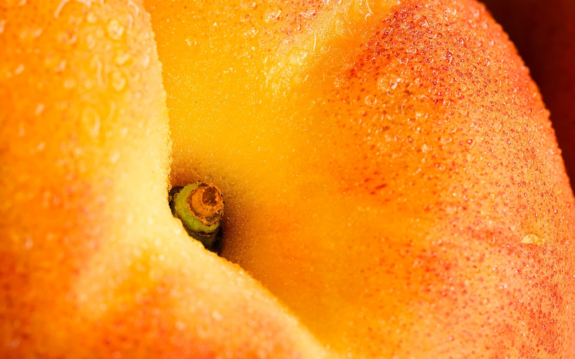 Картинки Персик, веточка, апельсин, фрукты фото и обои на рабочий стол