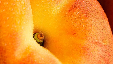 Персик, веточка, апельсин, фрукты