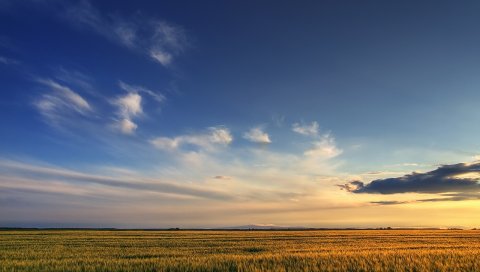 Поле, небо, облака, спад, пространство