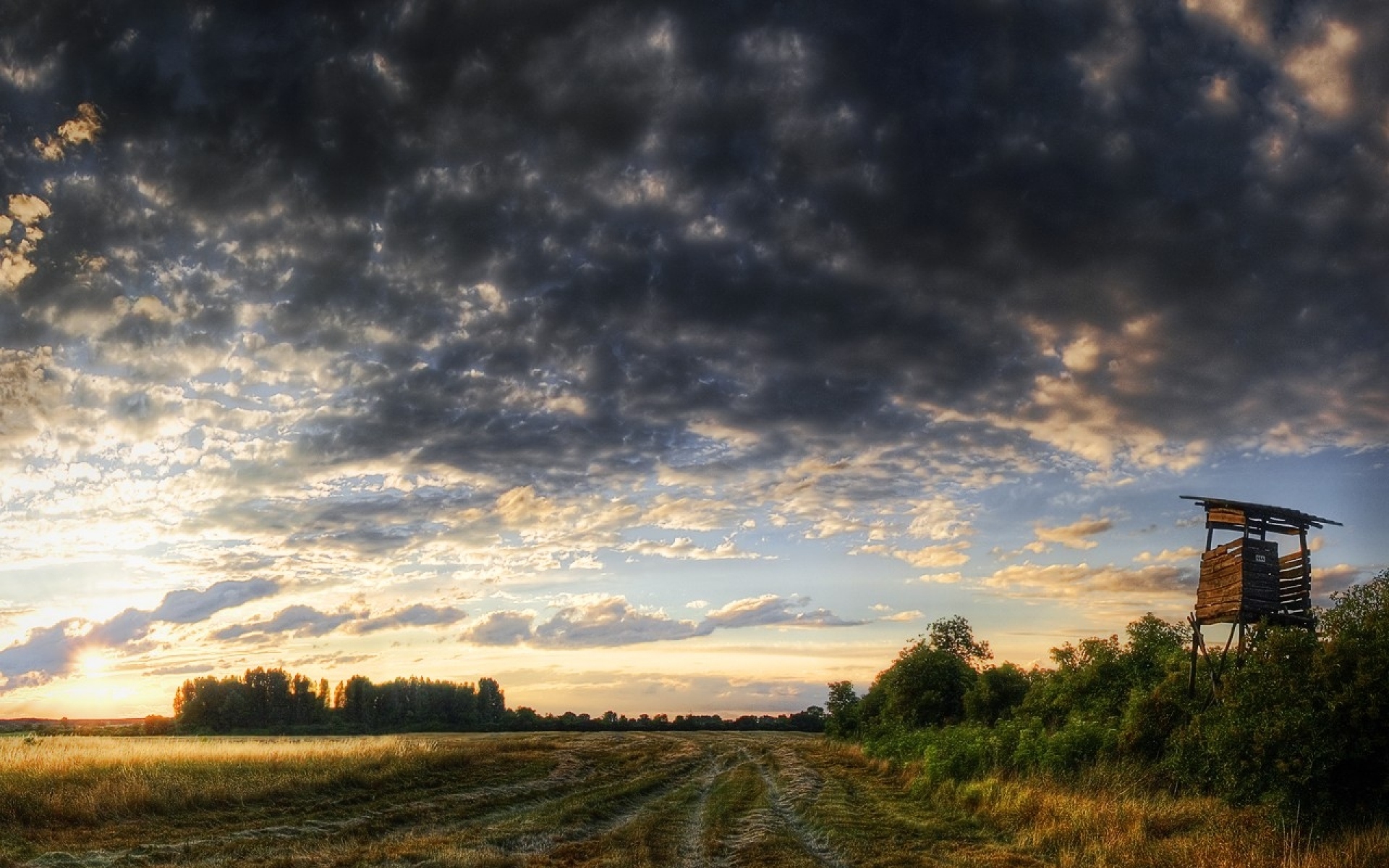 Фотография 1024 на 1024. Деревенский пейзаж. Пейзаж с хмурым небом. Природа, дороги, поле, тучи, дорога. Пасмурное небо Россия.