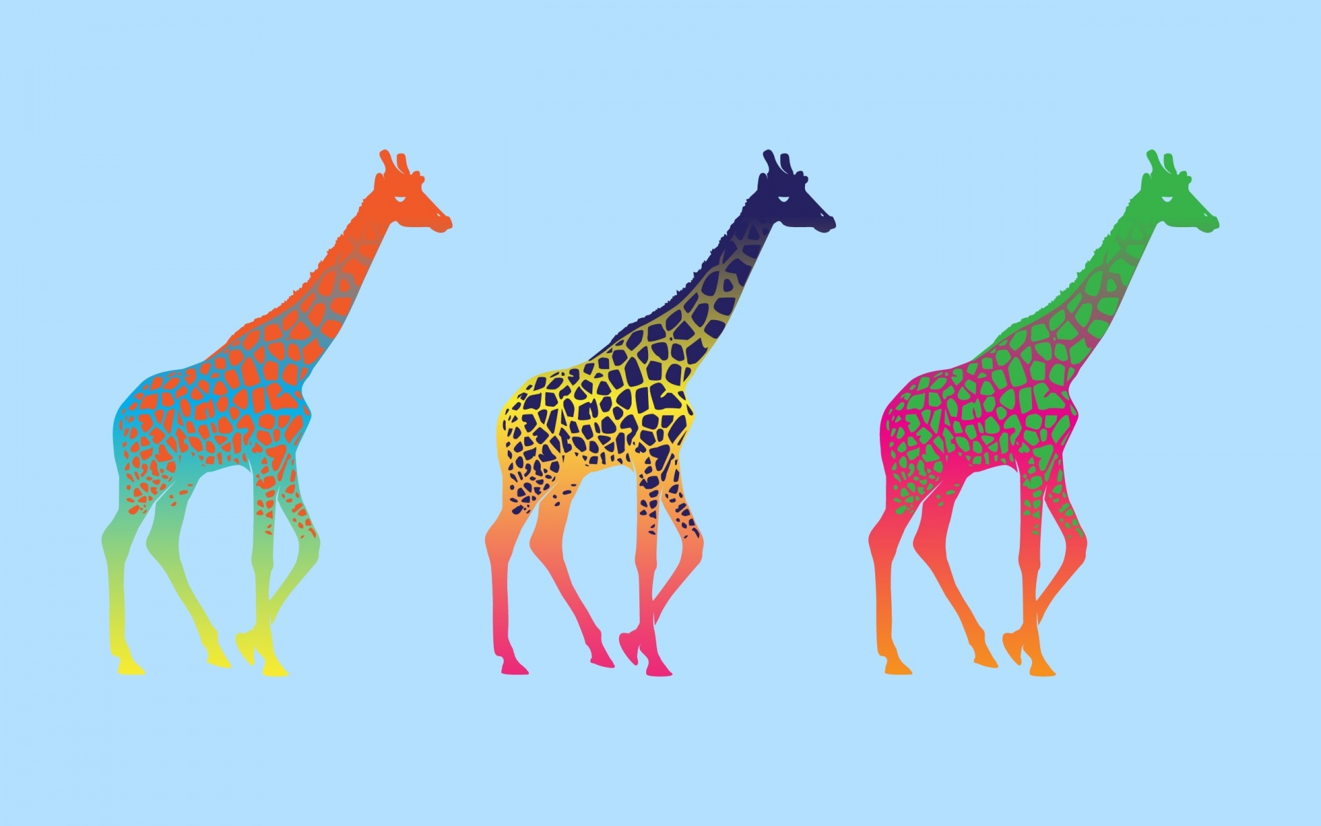 Картинки Жирафы, три, серии, красочные фото и обои на рабочий стол