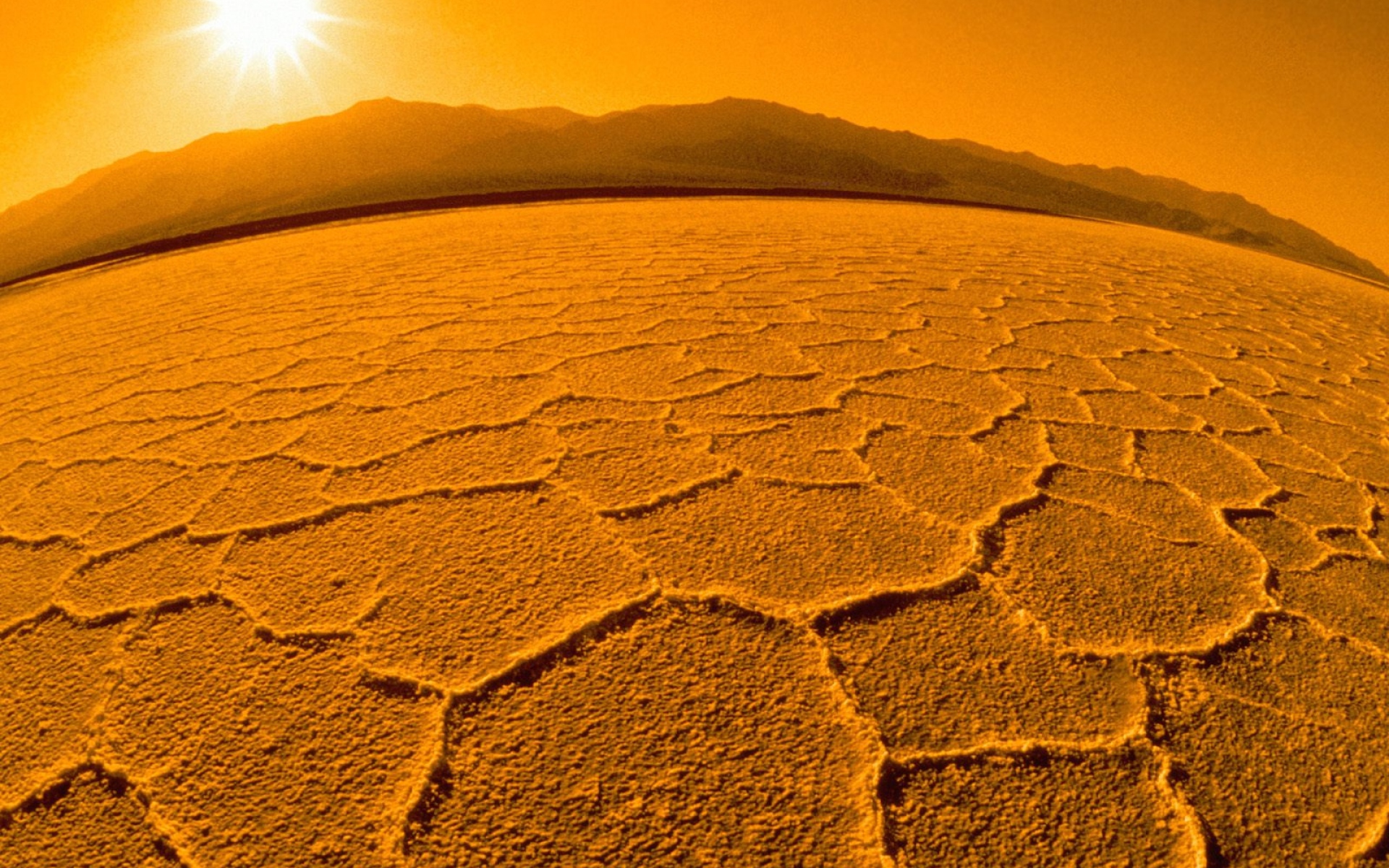 Картинки Пустыня, засуха, солнце, тепло, день, земля фото и обои на рабочий стол