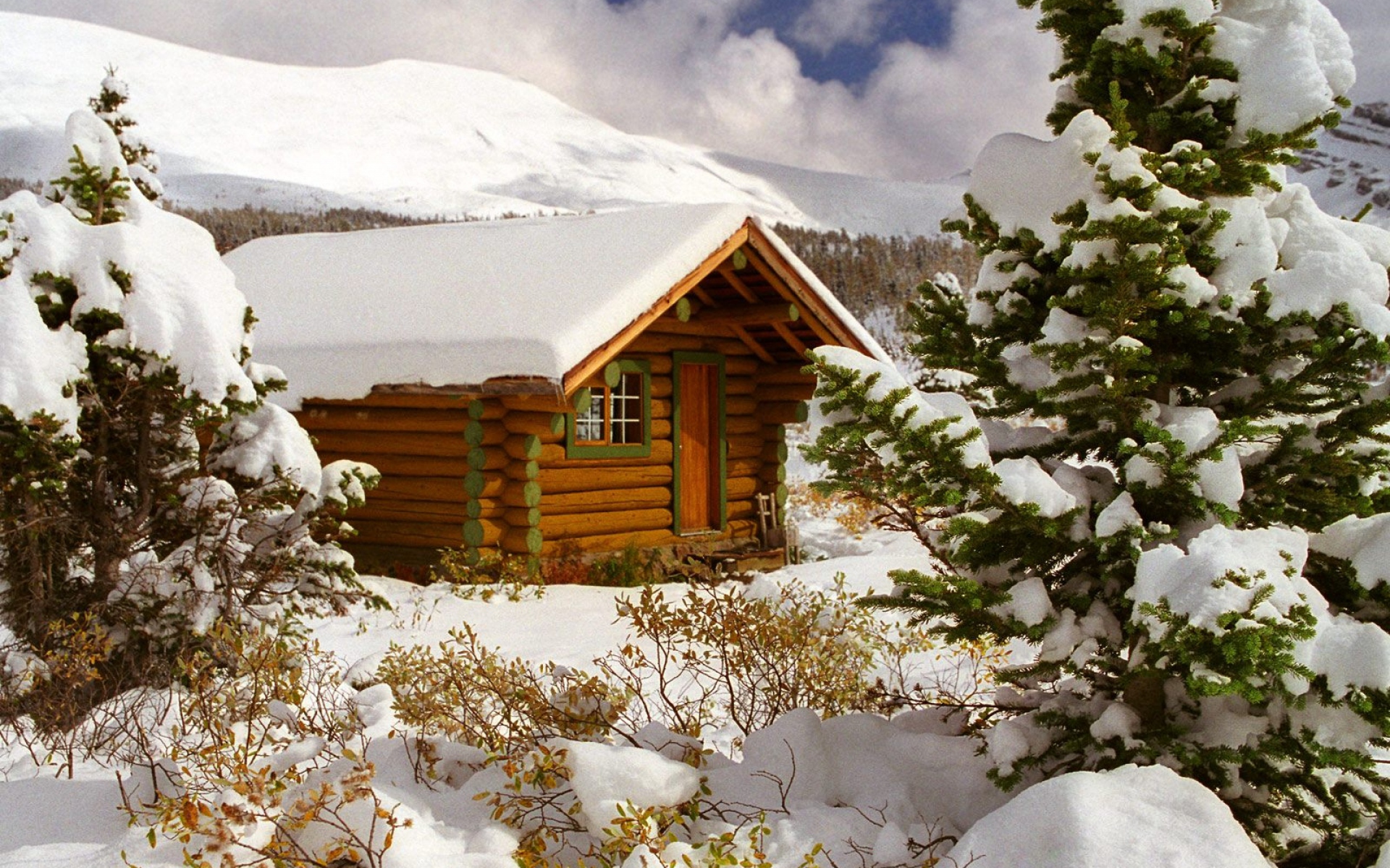 Картинки Маленький дом, снег, деревья, канада, британская колумбия, кусты, елка фото и обои на рабочий стол