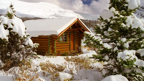 Маленький дом, снег, деревья, канада, британская колумбия, кусты, елка
