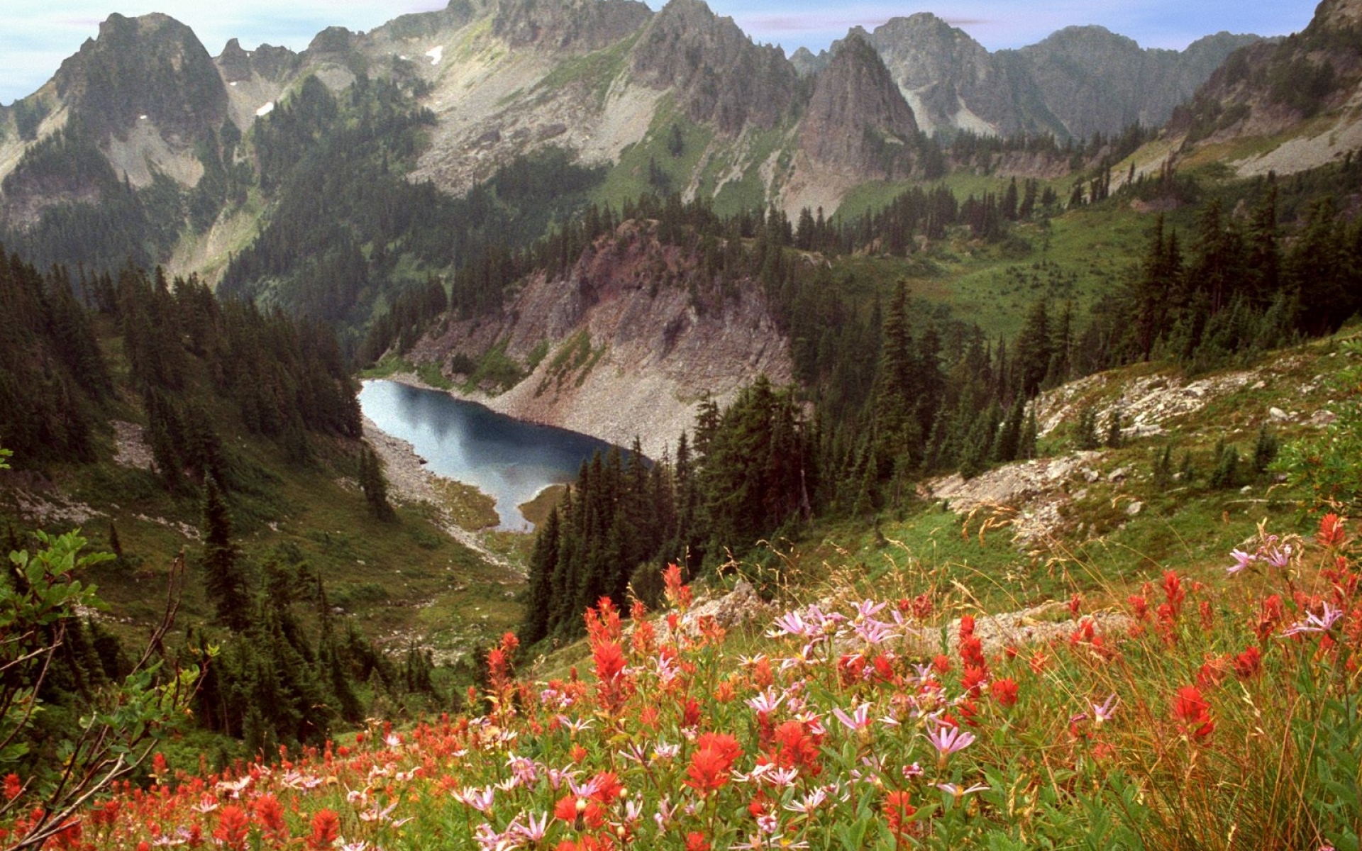 Картинки Озеро скалы, Идахо, горы, цветы, деревья фото и обои на рабочий стол