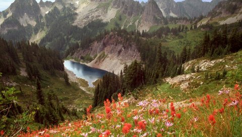 Озеро скалы, Идахо, горы, цветы, деревья