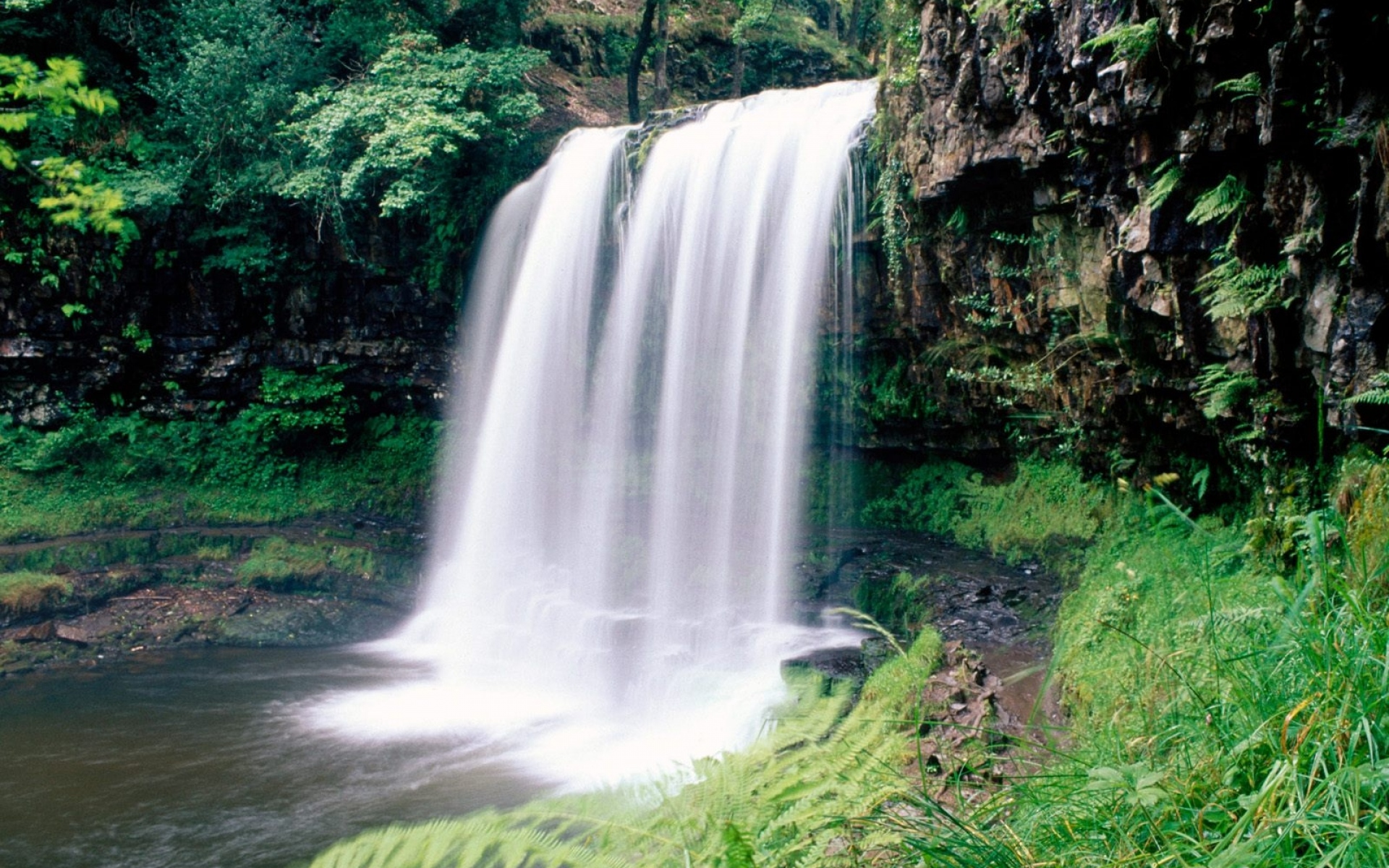 Картинки Водопады, национальный парк, скалы, папоротник, растительность, южный уэльс фото и обои на рабочий стол