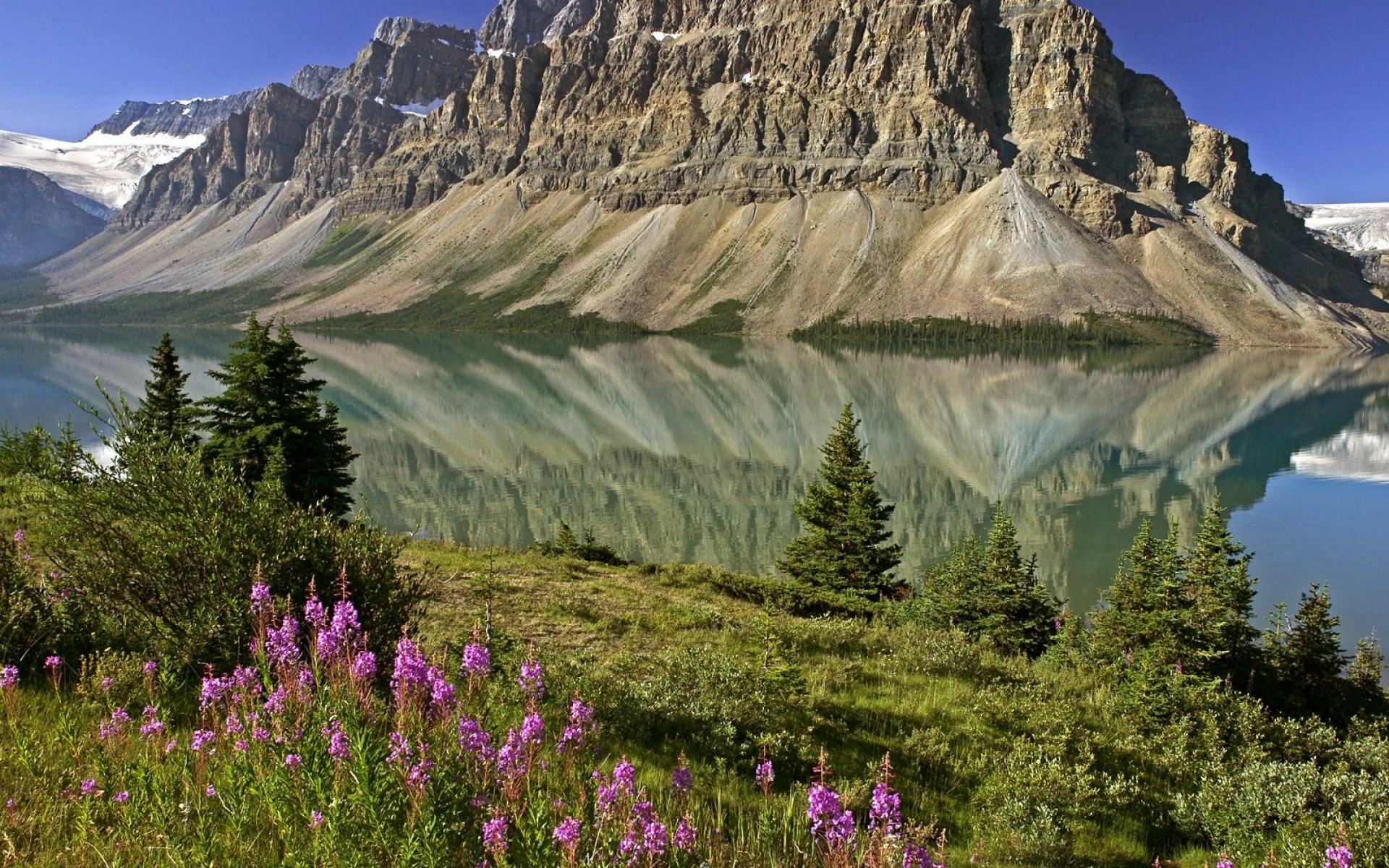 Картинки Горы, цветы, озеро, Канада, отражение, зеркало фото и обои на рабочий стол