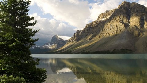 Горы, берег, дерево, озеро, канада, отражение, зеркало