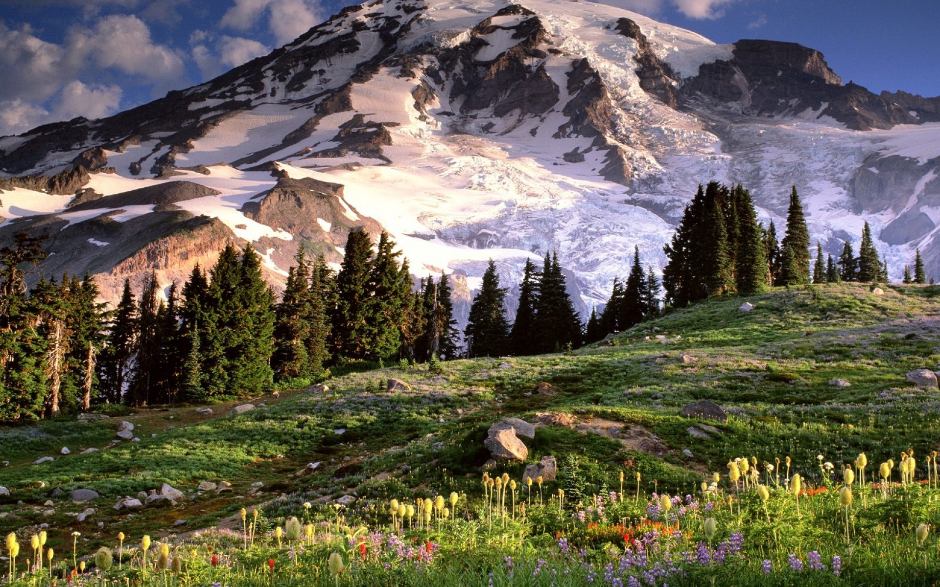 Картинки Вашингтон, горы, поляна, цветы, деревья, камни фото и обои на рабочий стол