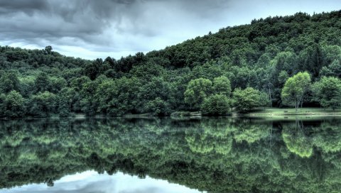 Дерево, деревья, берег, облака, лето, отражение, зеркало