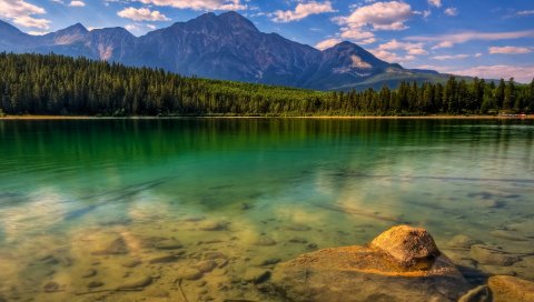 Дерево, деревья, берег, озеро, дно, вода, прозрачный, камни, горы