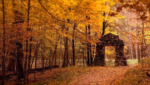 Стена, апертура, дерево, камни, осень, листья, деревья