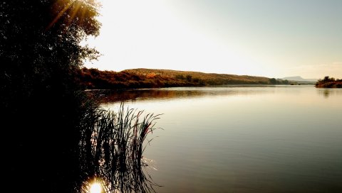 Озеро, трости, солнечные лучи, деревья, побережье