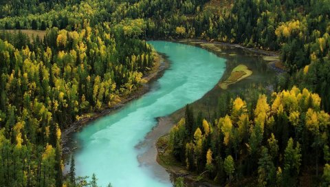 Дерево, осень, река, изгибы, голубая вода, горы
