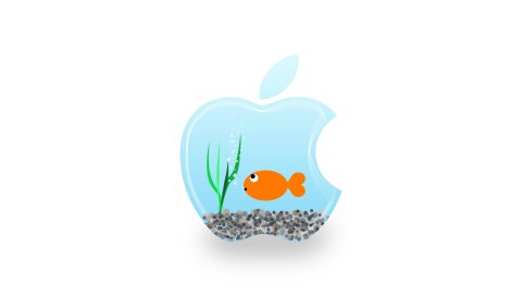 App storm, apple, mac, aquarium, blue, fish