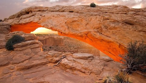 Каньон, арка, форма, окно, растительность