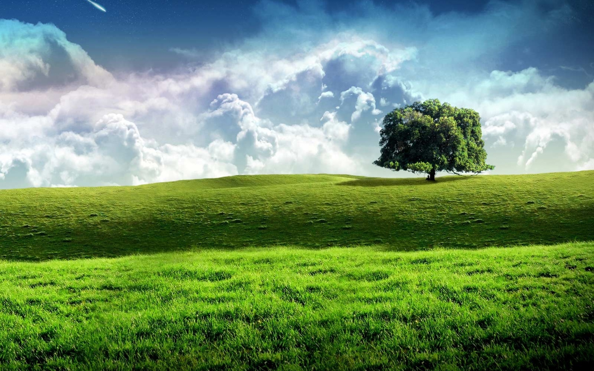 Картинки Дерево, луг, небо, звезды, облака, трава, зелень фото и обои на рабочий стол