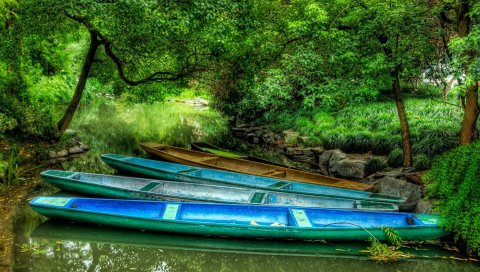 Лодки, разноцветные, берега, зелень, деревья, камни