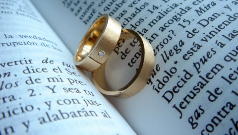 Кольца, книга, подарок, свадьба
