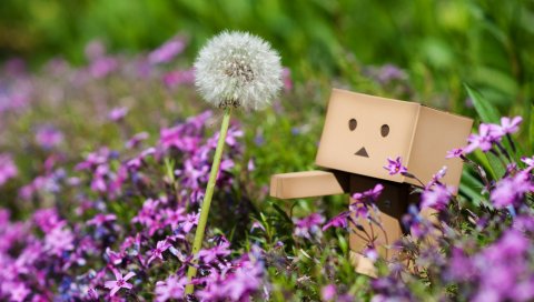 Danboard, одуванчик, ходьба, трава, цветы