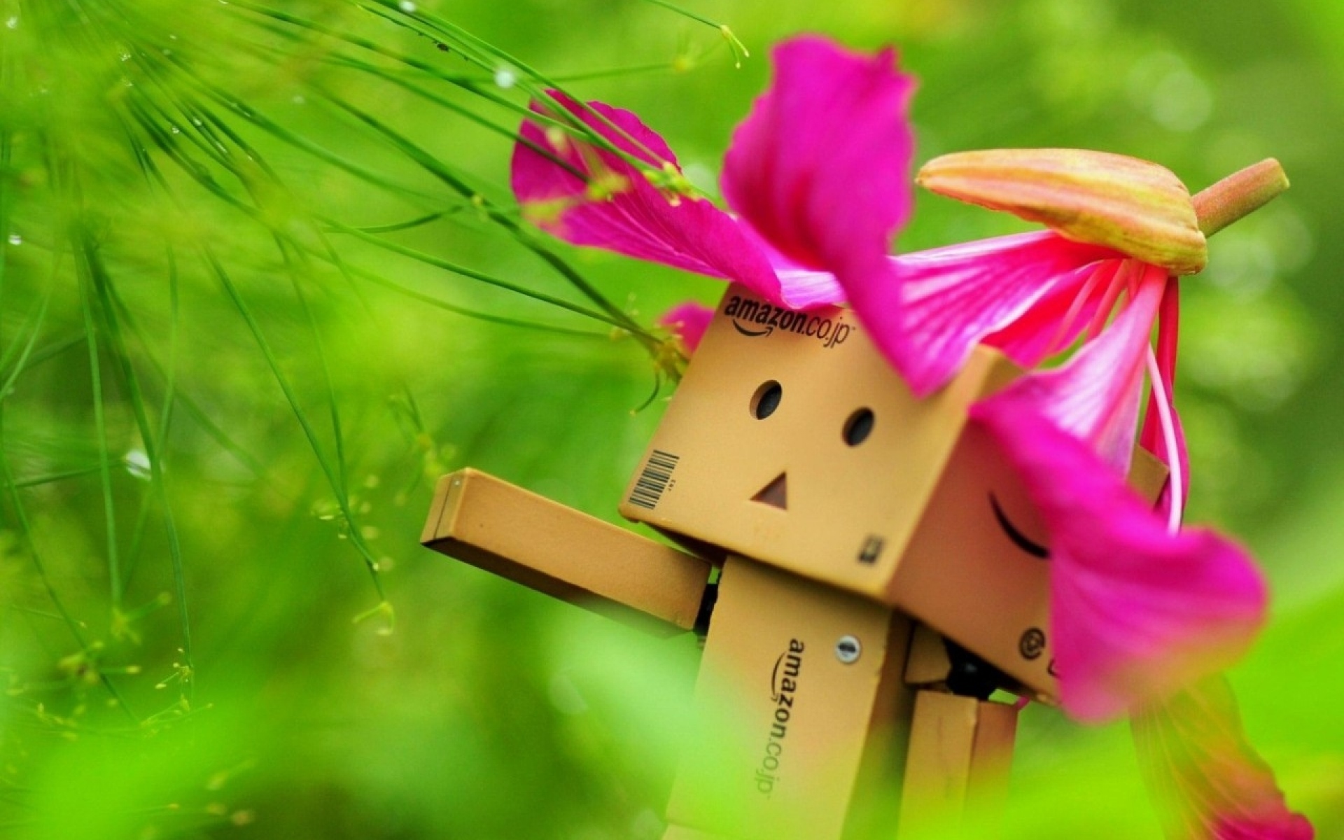 Картинки Danboard, flower, hat, pink, walking, grass фото и обои на рабочий стол