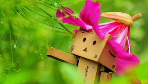 Danboard, flower, hat, pink, walking, grass