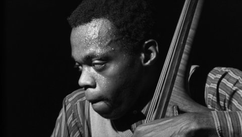 Henry grimes, лицо, рубашка, свет, виолончель