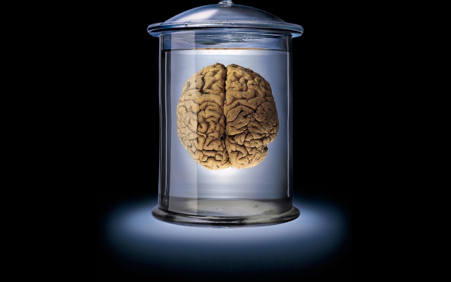 Картинки Мозг, стекло, коричневый, синий, черный, банк фото и обои на рабочий стол