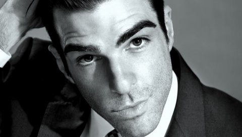 Zachary quinto, мужчина, обаятельный, темноволосый, черный белый