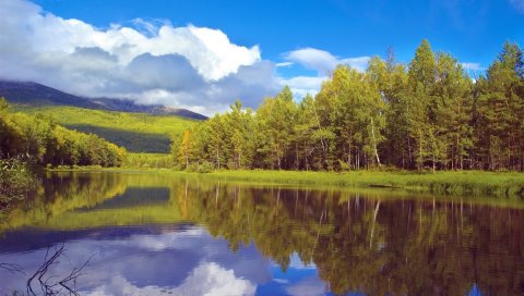 Деревья, берег, озеро, сибирская, дерево, отражение, небо, облака