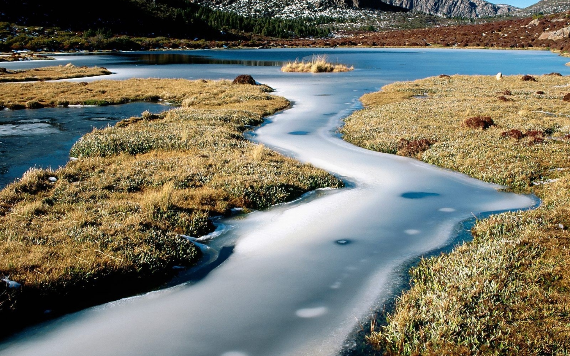 Картинки Лед, река, вода, трава, камни, австралия фото и обои на рабочий стол