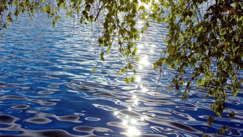 Береза, листья, вода, рябь, пятна света, сибирская