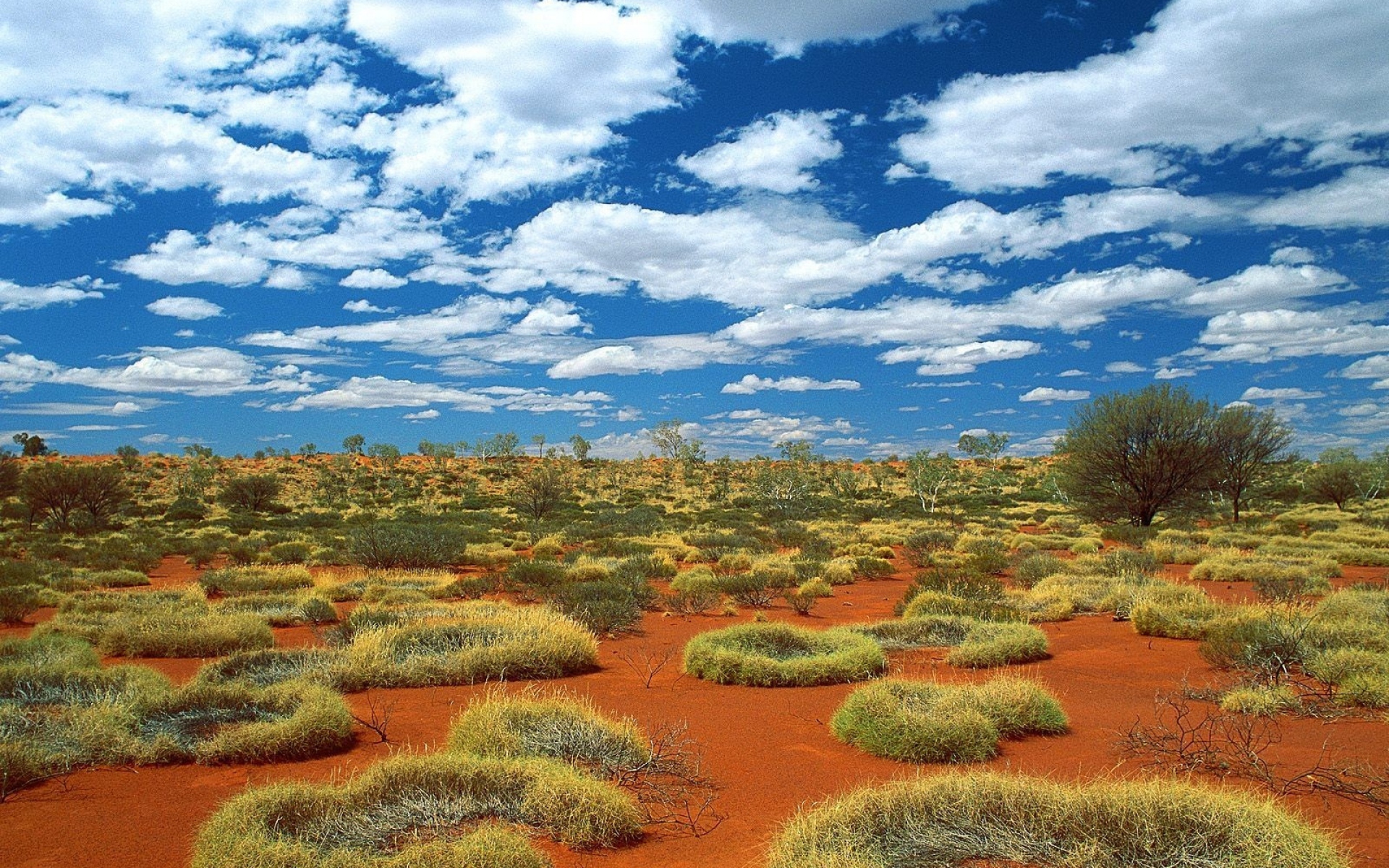 Картинки Растительность, песок, облака, небо, австралия фото и обои на рабочий стол