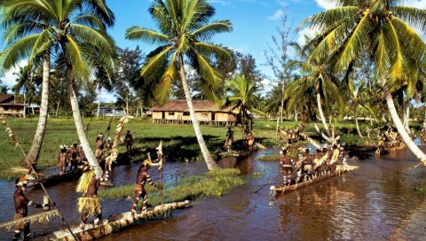 Лодки, племени, люди, вода, пальмы, побережье, туземцы
