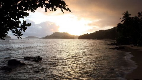 Берег, море, камни, дерево, листья, песок, облака