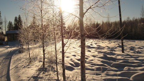 Солнце, день, березы, номер, дорога, дом, снег