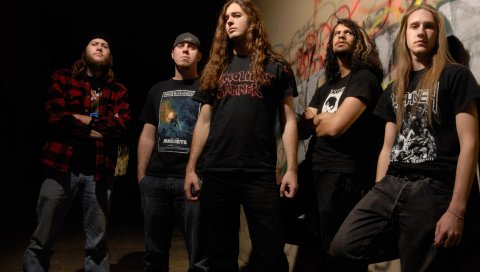 Warbringer, волосы, футболки, печать, стена