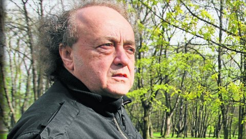 Jozef skrzek, деревья, дневной свет, листья, лес