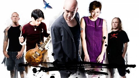 Devin townend, группа, гитара, графика, птица