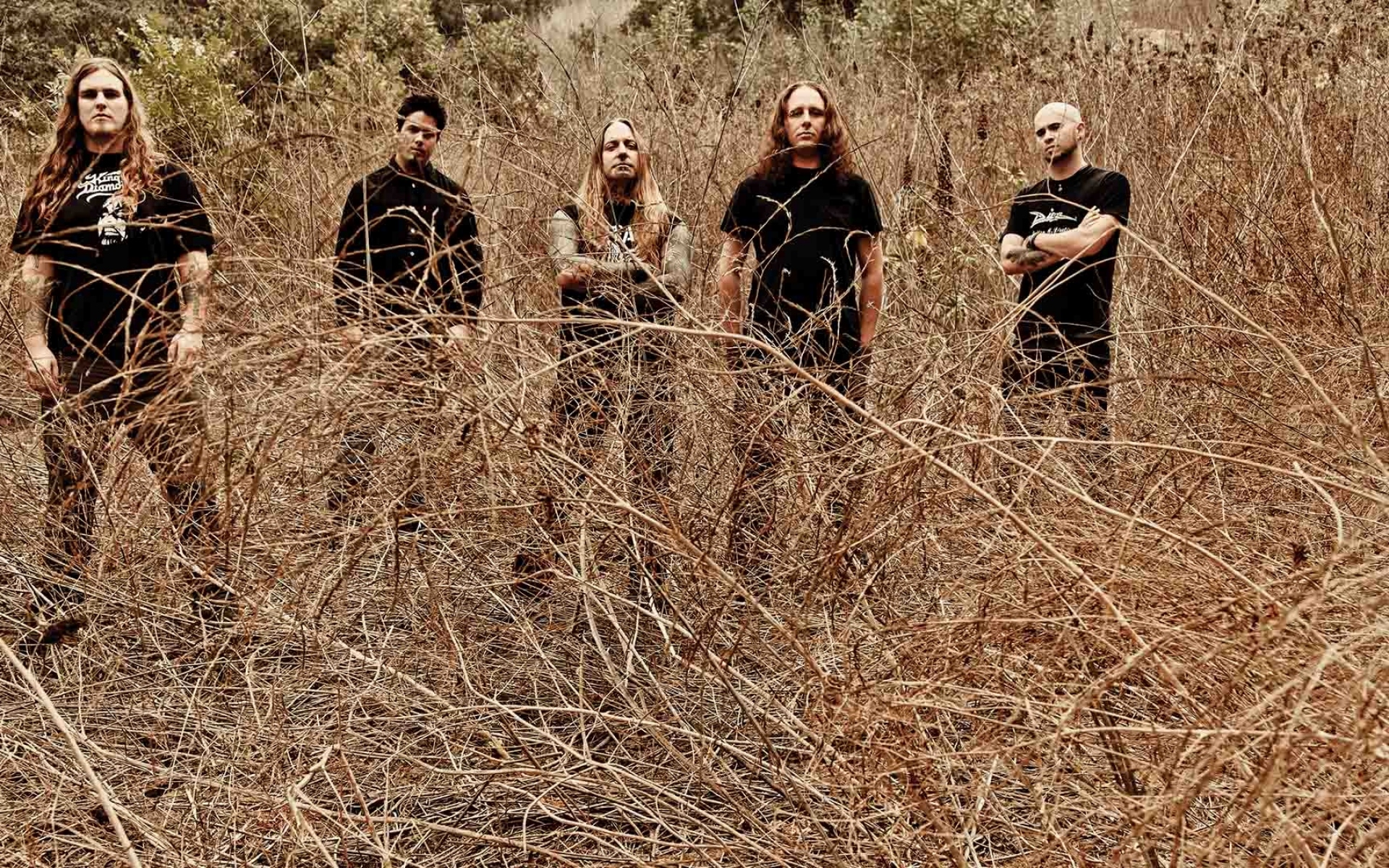 Картинки Devildriver, поле, тату, лысый, полосатый фото и обои на рабочий стол