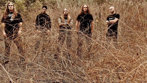 Devildriver, поле, тату, лысый, полосатый