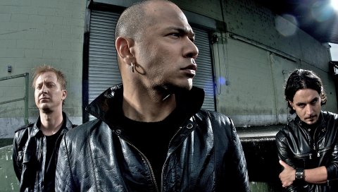 Danko jones, свет, дом, серьга, взгляд