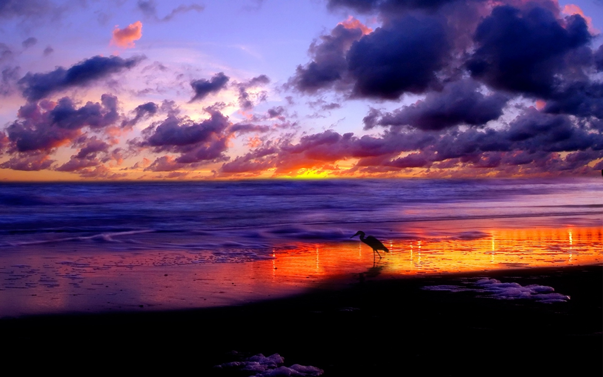 Картинки Море, цапля, берег, песок, вечер, небо, облака фото и обои на рабочий стол