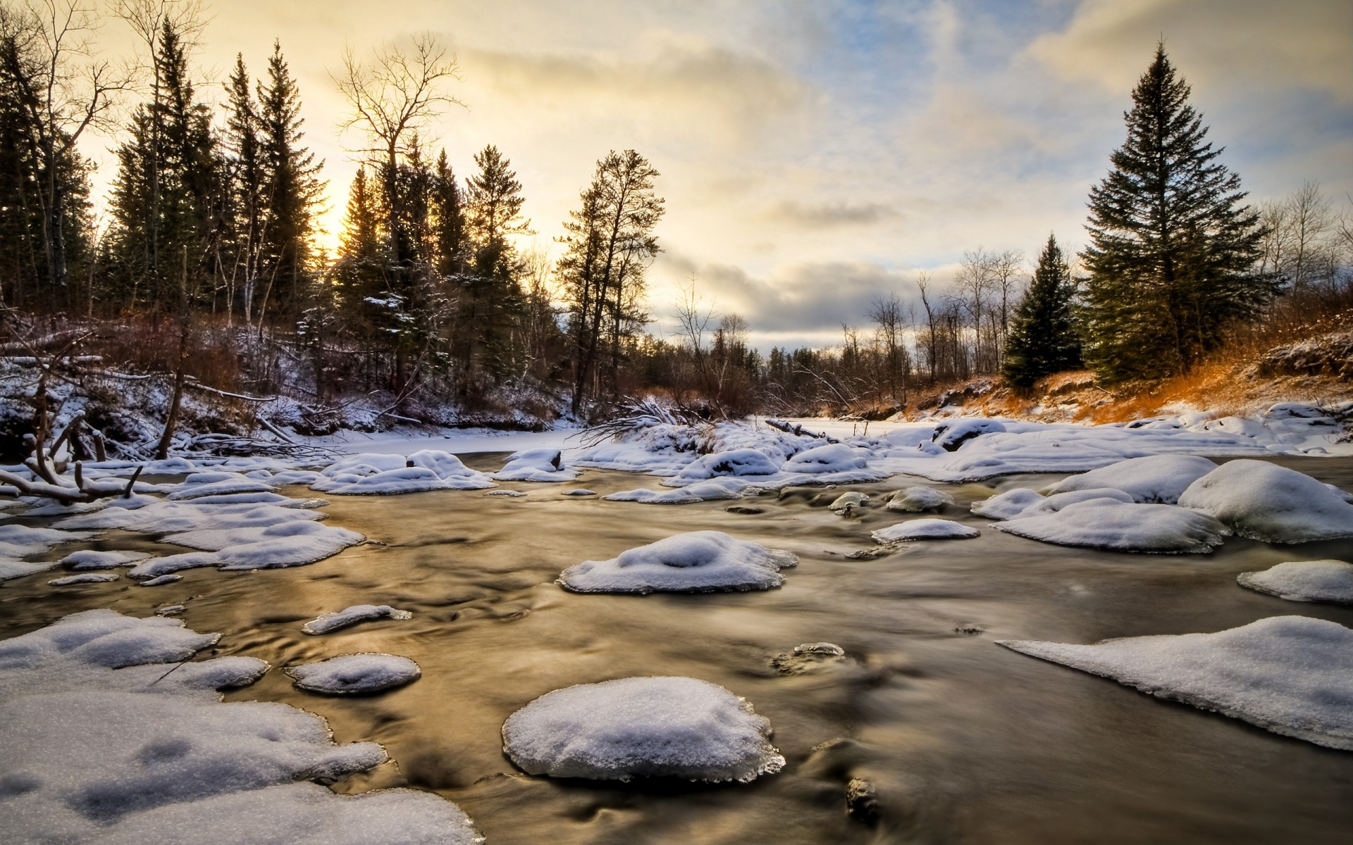 Картинки Лед, вода, река, снег, ели фото и обои на рабочий стол