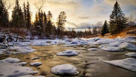 Лед, вода, река, снег, ели